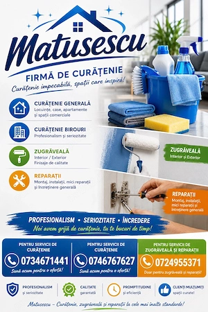 curatenie si reparati 