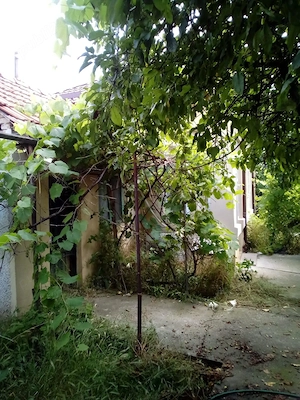 Casa De Vanzare Piatra Olt  - imagine 9