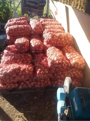 Ceapa de vanzare