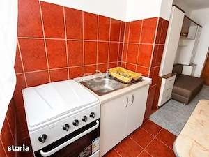 Apartament 1 Camera Inchiriere - imagine 7