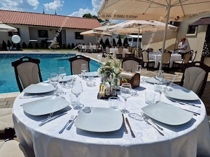 Pensiune cu restaurant si piscina | 730 mp | Investitie premium- Urseni - imagine 6