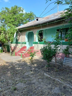 Casa la tara de vanzare-liniste ,natura si teren generos - imagine 10