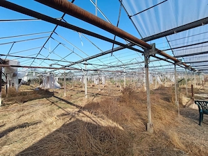 SERĂ INDUSTRIALĂ CU TEREN INTRAVILAN  – OPORTUNITATE RARĂ in Olari - imagine 12
