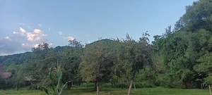 Vând casa cu anexe gospodărești cu curte mare, gradina și livada - imagine 3