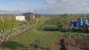 Teren Intravilan 470 mp   Horlești, Comuna Rediu (Proprietar) - imagine 6