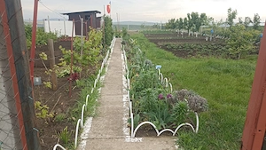 Teren Intravilan 470 mp   Horlești, Comuna Rediu (Proprietar) - imagine 4