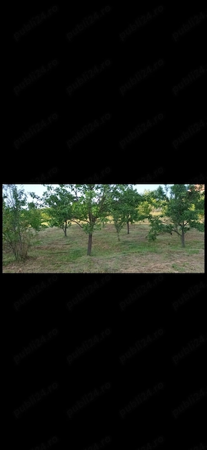 Teren intravilan, in DEJ, jud. Cluj Napoca, 1200mp. - imagine 6