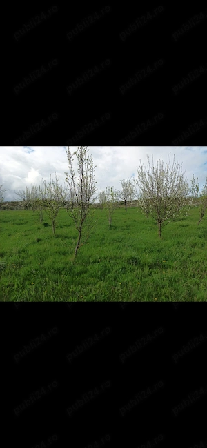 Teren intravilan, in DEJ, jud. Cluj Napoca, 1200mp. - imagine 5