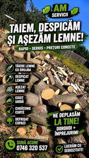 Tăiere,despicare lemneÎngrijire spați verzi