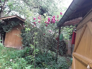 Casa batraneasca în Teisani, lângă Văleni de Munte 
