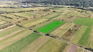 Teren extravilan de vânzare –5000 mp, Șelimbăr (Mohu)