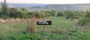 De vânzare 