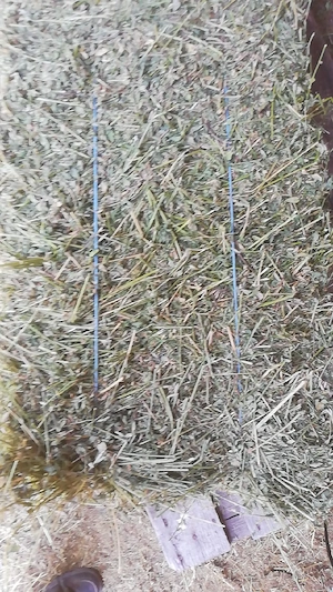 agricultura 