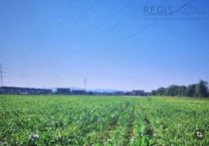 Teren intravilan de v #226;nzare – S #226;npetru, Bra #537;ov | 500 mp | Ideal pentru cas #259; - imagine 4