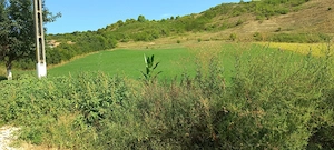 Vând  teren  intravilan  în Târnăveni - imagine 3