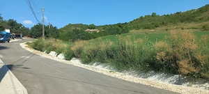 Vând  teren  intravilan  în Târnăveni - imagine 4