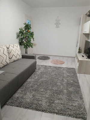 De închiriat   Apartament 2 camere  Zona Spitalul Județean - imagine 4
