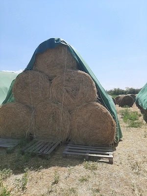 Baloți rotunzi de lucernă 