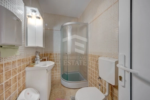 3 IMOBILE - LOT 676 MP - RECONSOLIDATE - ROMANA VICTORIEI - DOROBANTI - imagine 3