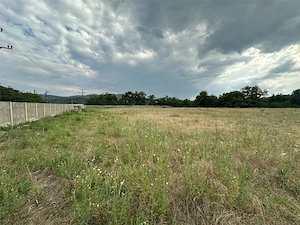 Bocsa Romana, De Inchiriat, Teren Intravilan 8.500mp, strada principala - imagine 3