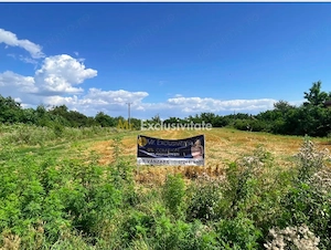 Teren Ogrezeni, stradal, cu utilitati