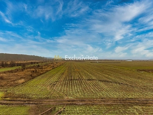 Teren intravilan 5040 mp, deschidere dubla - imagine 2