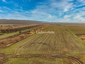 Teren intravilan 5040 mp, deschidere dubla - imagine 5