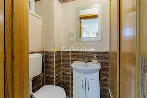 Spatiu comercial versatil - imagine 15