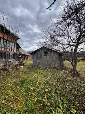 Casa, sura si teren generos in Maramuresul istoric - imagine 5