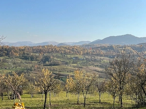 Casa, sura si teren generos in Maramuresul istoric - imagine 9