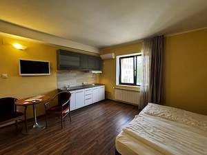 Apartament 1 camera, ideal pentru studenti, langa UVT - imagine 3