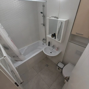 Ap cu 2 camere de vanzare,Complexul Iris Armonia Aradului - imagine 3