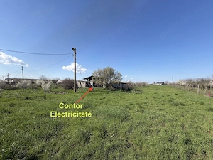 Teren intravilan agricol 5.000 mp de vânzare   Iepurești, Giurgiu - imagine 5