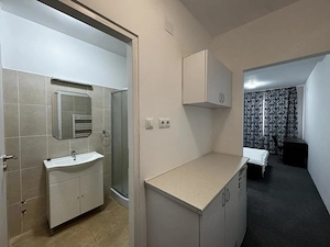 Apartament cu 1 camera, ideal pentru studenti, zona Complexul Studentesc - imagine 7