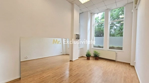 De inchiriat spatiu comercial central - imagine 10