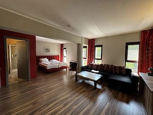 Apartament 1 camera, ideal pentru studenti, langa UVT