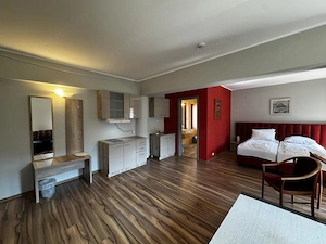Apartament 1 camera, ideal pentru studenti, langa UVT - imagine 3
