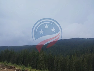 Teren de vanzare in Horezu/Pietrele Rosii/Valcea - imagine 6