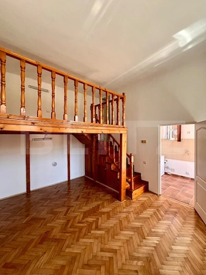 Apartament de vanzare, 26 mp, zona centrala - imagine 2