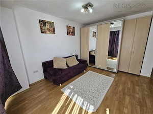 Studio Modern Astra str Vulturului -PET FRIENDLY - imagine 3
