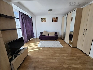 Studio Modern Astra str Vulturului -PET FRIENDLY - imagine 6