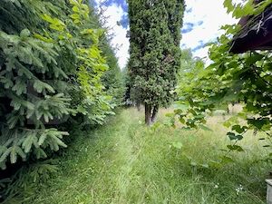 Casă de vânzare, 163 mp, zona Ponorel, comuna Vidra, județul Alba  - imagine 11