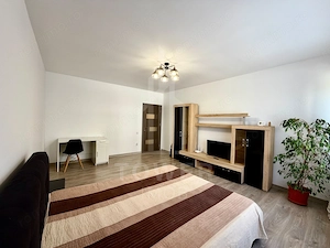 Garsoniera Premium -Pictor Brana - imagine 6
