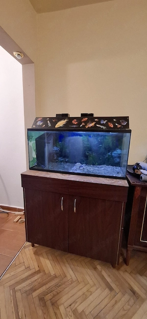 Vand Acvariu aprox 130 L + mobilier dedicat - imagine 3