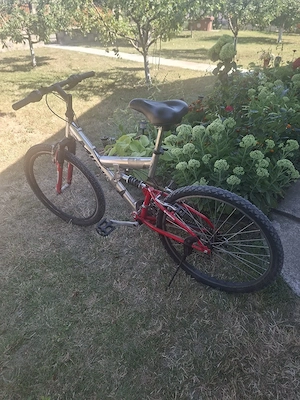 Biciclete de vânzare