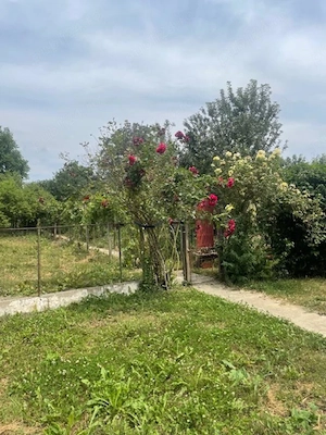 Vand casa si teren , str.Bojinca nr.30 , zona semicentrala , linistita - imagine 18