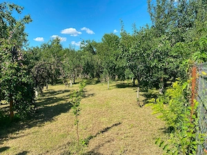 Teren intravilan de vanzare-560mp-Sat Tariceni,Comuna Sirna,Judet Prahova - imagine 3