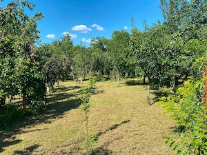 Teren intravilan de vanzare-560mp-Sat Tariceni,Comuna Sirna,Judet Prahova - imagine 4
