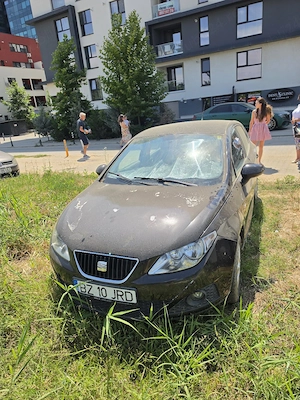 Vand auto Seat Ibiza - imagine 3