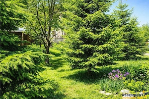Locatie cu patru anotimpuri intr- o zi, incadrata de 2.350 teren, Bran - Fundata, Brasov